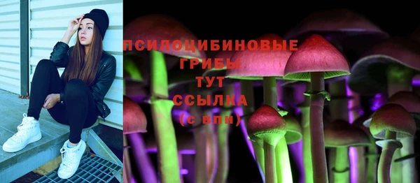прущие грибы Гусь-Хрустальный