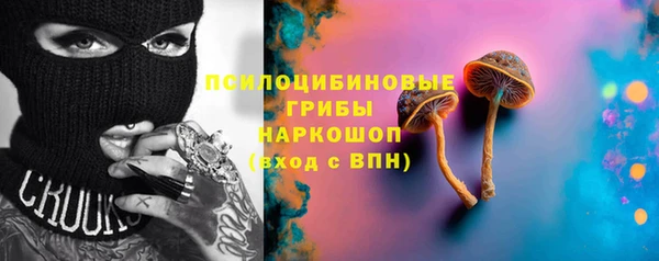 прущая мука Гусев