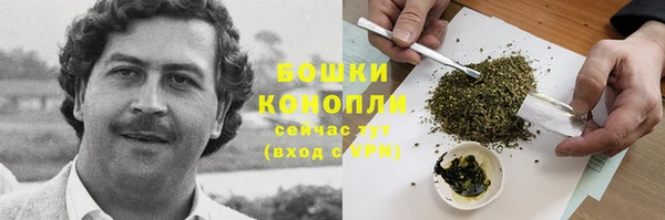эйфоретик Гусиноозёрск