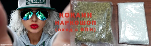 прущие грибы Гусь-Хрустальный