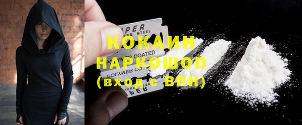 прущие грибы Гусь-Хрустальный