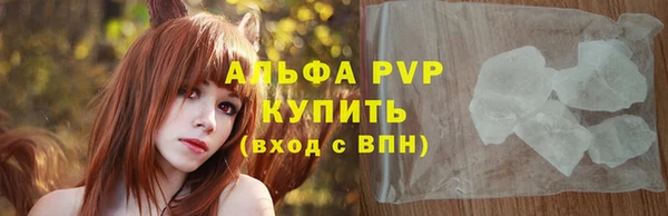 прущие грибы Гусь-Хрустальный