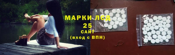 прущие грибы Гусь-Хрустальный