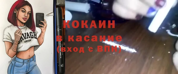 прущие грибы Гусь-Хрустальный