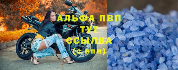 эйфоретик Гусиноозёрск