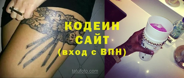 прущие грибы Гусь-Хрустальный