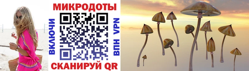 Купить  Советский  Псилоцибиновые грибы MAGIC MUSHROOMS 