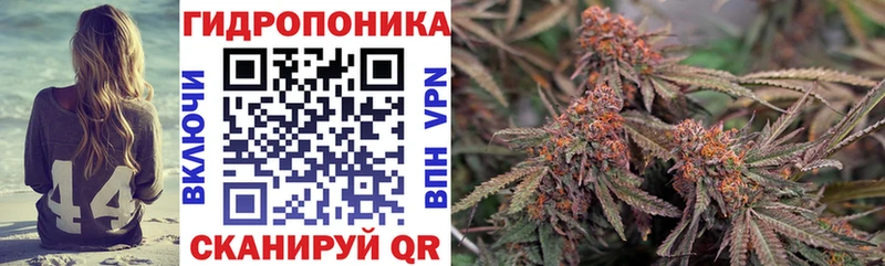 Купить закладки  Советский  Бошки Шишки OG Kush 